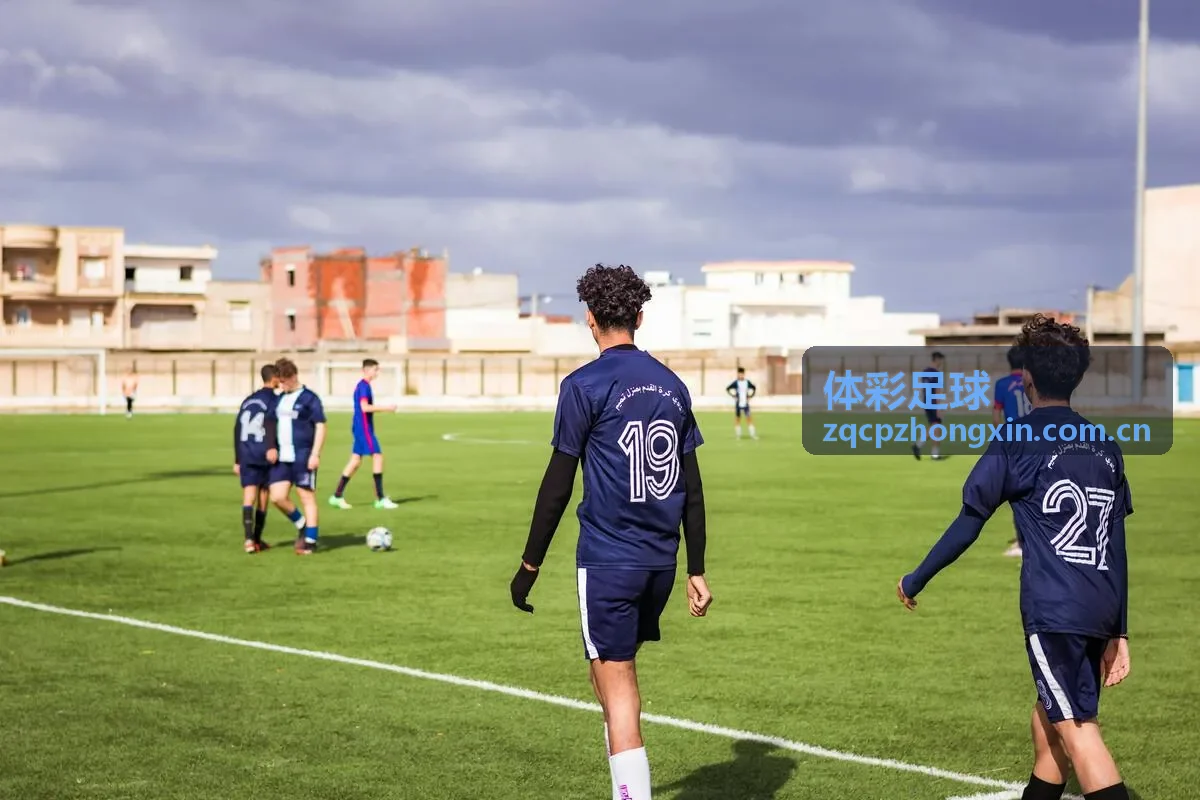 体彩足球数据趋势分析图